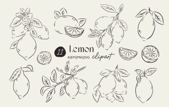 Download Lemon Clipart Set - Lemon clipart Collection